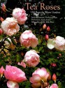 Tea Roses: Old Roses for Warm Gardens - Lynne Chapman, Jenny M. Jones, Billy West, Noelene Drage, Di Durston, Hillary Merrifield