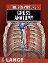 Gross Anatomy: The Big Picture - David Morton, K Bo Foreman