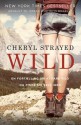 Wild: En fortælling om at fare vild og finde sig selv igen - Cheryl Strayed, Ellen Boen