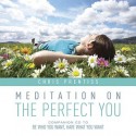 Meditation on the Perfect You - Chris Prentiss