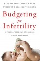 Budgeting for Infertility: How to Bring Home a Baby Without Breaking the Bank - Evelina Sterling, Angie Best-Boss