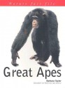 Great Apes - Barbara Taylor, Ian Redmond