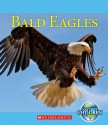 Bald Eagles - Emily J. Dolbear