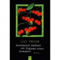 Sentimenti Italiani Oder Träume Eines Sommers: Roman Der Leidenschaften - Lily Prior, Charlotte Breuer