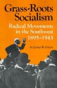 Grass-Roots Socialism: Radical Movements in the Southwest 1895-1943 - James R. Green