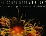 The Coral Reef at Night - Joseph S. Levine