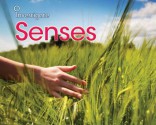 Senses - Sue Barraclough, Jon Bliss