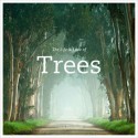 The Life & Love of Trees - Lewis Blackwell