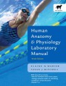 Human Anatomy and Physiology Lab Manual, Cat Version (Spiral) - Elaine Nicpon Marieb, Susan J. Mitchell