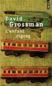 L'Enfant zigzag - David Grossman, Sylvie Cohen