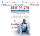 Privilege Of Youth, The: A Teenager's Story Of Longing For Acceptance And Friendship - Dave Pelzer, J. Charles