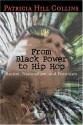 From Black Power to Hip Hop: Racism, Nationalism, and Feminism (Politics History & Social Chan) - Patricia Hill Collins