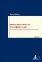 Health and Safety in Small Enterprises: European Strategies for Managing Improvement - David Walters