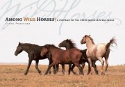 Among Wild Horses: A Portrait of the Pryor Mountain Mustangs - Lynne Pomeranz, Hope Ryden