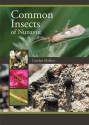 Common Insects of Nunavut - Carolyn Mallory