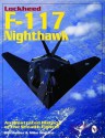 Lockheed F117 Nighthawk: An Illustrated History of the Stealth Fighter - William G. Holder, Mike Wallace