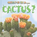 What's in a Cactus? - Tracy Nelson Maurer