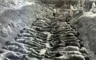 Korean War Atrocities - US Army