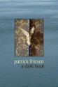 A Dark Boat - Patrick Friesen