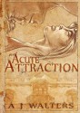 An Acute Attraction - A.J. Walters