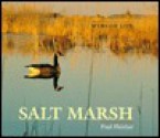 Salt Marsh - Paul Fleisher