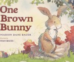 One Brown Bunny - Marion Dane Bauer, Ivan Bates