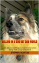 Selling in a dog eat dog world: Just about everything you need to know about selling from a dog's perspective - Stephen Morton