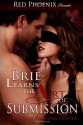 Brie Learns the Art of Submission: Submissive Training Center - Red Phoenix