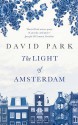 The Light of Amsterdam - David Park