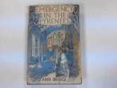 Emergency In The Pyrenees - Ann Bridge