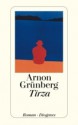 Tirza: Roman - Arnon Grunberg