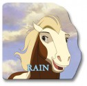 Rain: A Giant Shaped Board Book - Susan Van Metre, Susan Van Metre