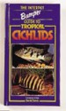 The Interpet Bumper Guide to Tropical Cichlids - David Sands