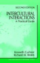 Intercultural Interactions: A Practical Guide - Kenneth Cushner, Richard W. Brislin