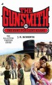 The Hunt for Clint Adams (The Gunsmith, #343) - J.R. Roberts