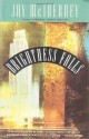 Brightness Falls - Jay McInerney