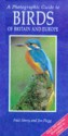 Photoguide To Birds Of Britain And Europe (Photographic Guides) - Jim Flegg