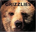 Grizzlies - Mary Ann McDonald