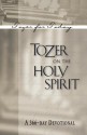 Tozer on the Holy Spirit: A 366 Day Devotional - A.W. Tozer, Marilynne E Foster