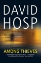 Among Thieves - David Hosp