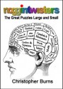 Noggintwisters: The Great Puzzles Large and Small - Christopher Burns