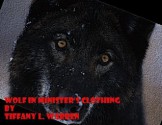 Wolf in Minister's Clothing - Tiffany L. Warren