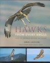 Hawks from Every Angle: How to Identify Raptors in Flight - Jerry Liguori, David A. Sibley