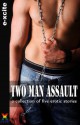 Two Man Assault - An Xcite Books collection of gay erotic stories. - G R Richards, Landon Dixon, Richard Allcock, Jade Taylor, Elizabeth Coldwell