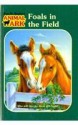 Foals in the Field (Animal Ark (Pb)) - Ben M. Baglio