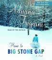 Home to Big Stone Gap (Big Stone Gap, Book 4) - Adriana Trigiani