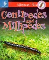 Millipedes and Centipedes (Minibeast Pets) - Theresa Greenaway