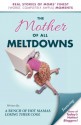 The Mother of All Meltdowns - Crystal Ponti