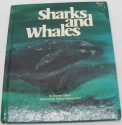 Sharks and Whales - Burton Albert