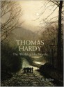 Thomas Hardy: The World of his Novels - J.B. Bullen